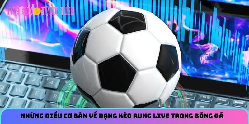 Những điều cơ bản về dạng kèo rung live trong bóng đá