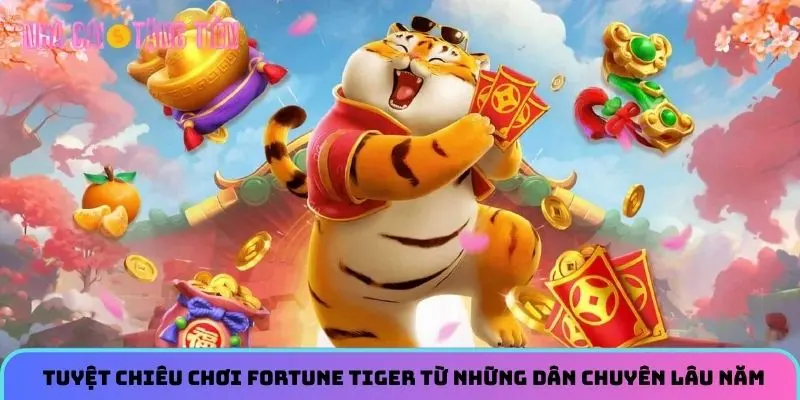 Tuyệt chiêu chơi Fortune Tiger từ những dân chuyên lâu năm